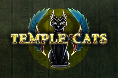 Слот Templecats СпинВин Казино
