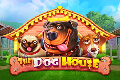 Играть в The Dog House СпинВин Казино