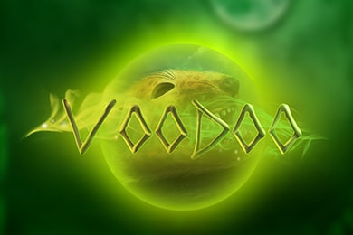 Voodoo слот онлайн СпинВин Казино